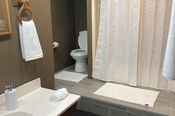 Hair dryer, towels, soap, toilet paper