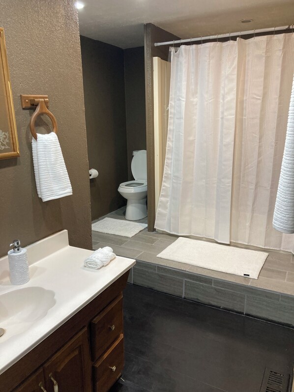 Hair dryer, towels, soap, toilet paper