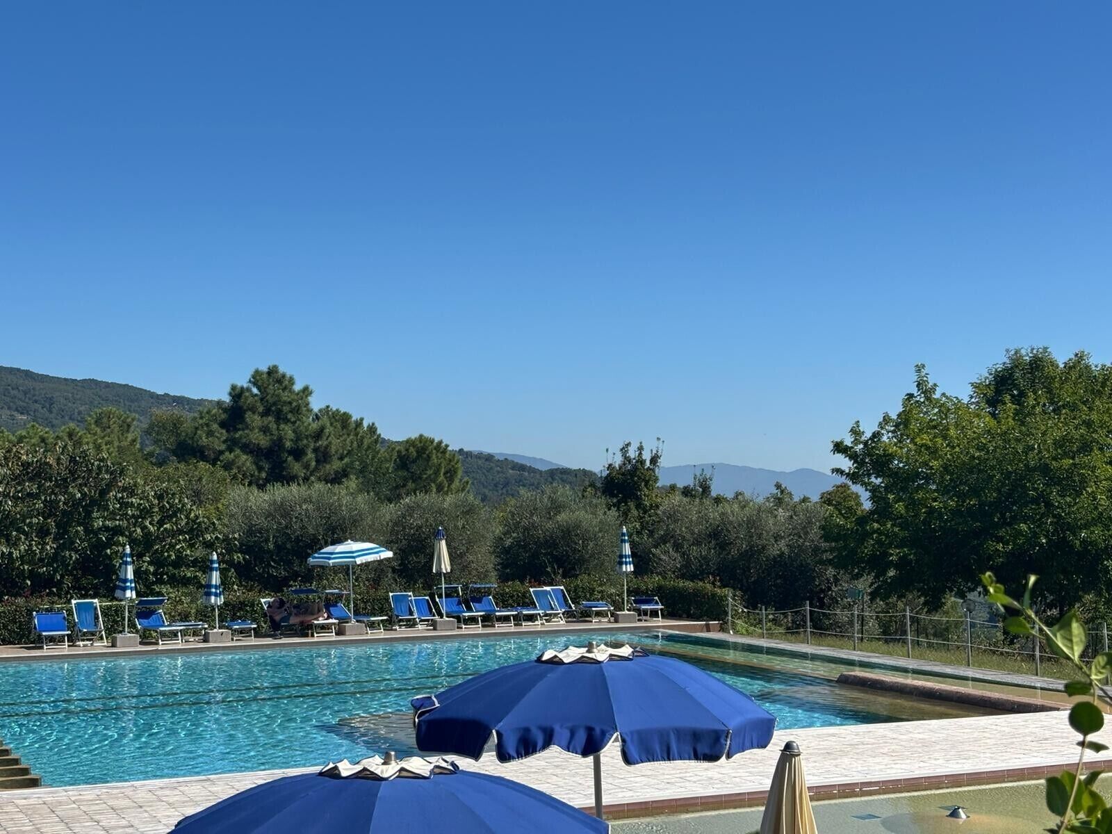 A swimming pool with lounge chairs and umbrellas, surrounded by trees and hills.