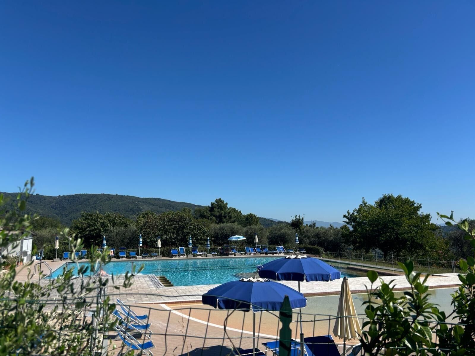 A swimming pool with lounge chairs and umbrellas, surrounded by greenery and hills.