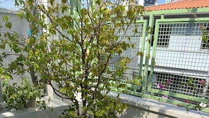 Garden - Casa Savana Suites  (São Paulo)