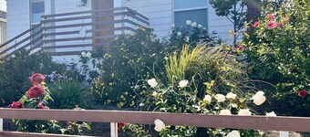 2br/1ba Mid-Wilshire Hideaway— Where LA Comes Together. Quiet, central retreat.