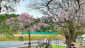 A playground with swings, slides, and a small playhouse on green artificial grass, surrounded by blooming pink trees. - Brand New lake view Penthouse with A/C, pool, gym, tennis in common area (Río Oro)