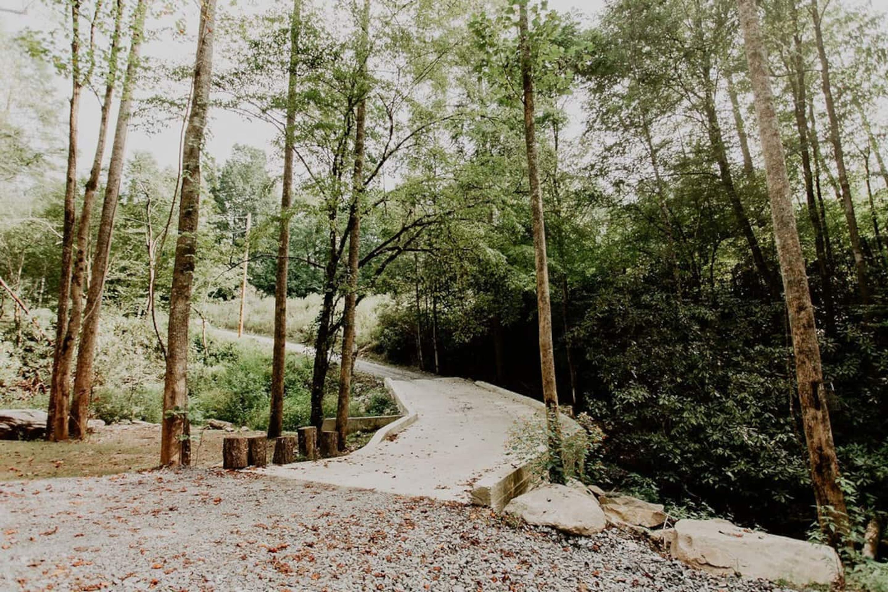 A forested area with a gravel path leading through trees.