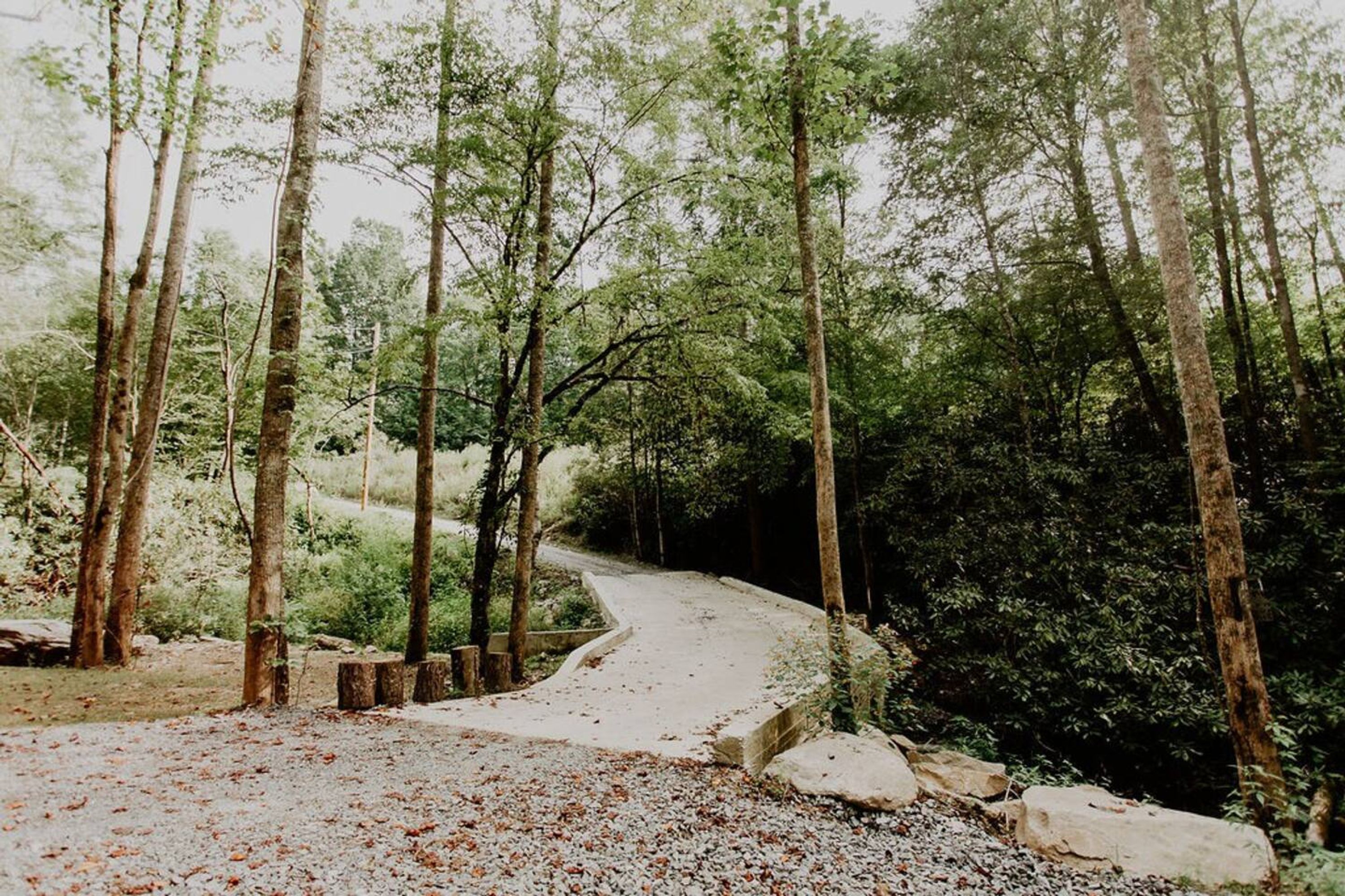 Ein bewaldetes Gebiet mit einem Kiesweg, der durch Bäume führt.