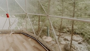 A room with a wooden floor and a view of a forest through a glass ceiling. - Whispering Waters Dome Getaway (Cosby)