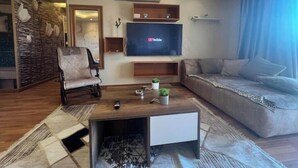A modern living room with a sofa, a chair, a coffee table, a TV, and a fireplace.