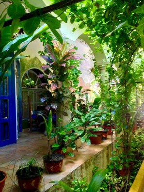 Terrein van de accommodatie