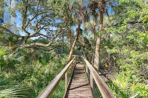 Condo, Multiple Beds (Oceanwalk 9-302) | Property grounds