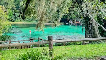 Parco della struttura