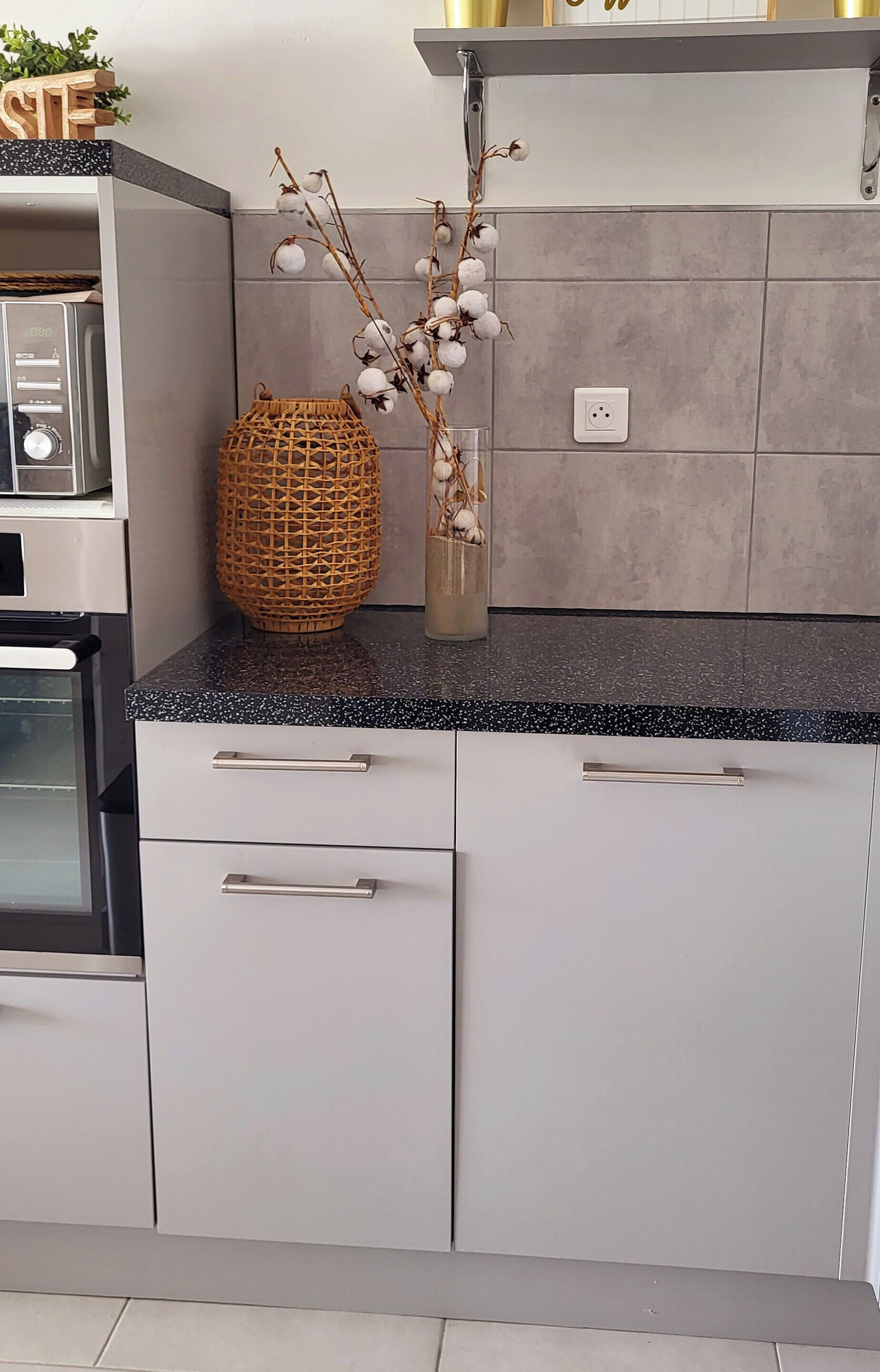 Frigorífic, microones, forn i rentaplats 