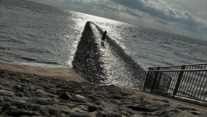 A rocky beach with a person standing at the water's edge, a metal railing, and a cloudy sky.