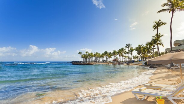A beach with clear blue water, palm trees, and sun loungers.