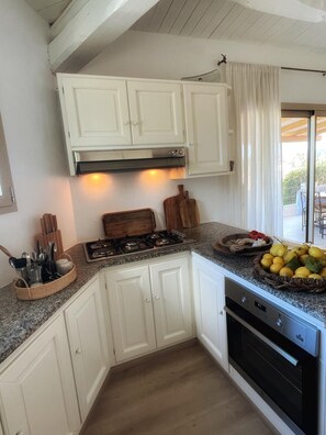 Oven, stovetop, dishwasher