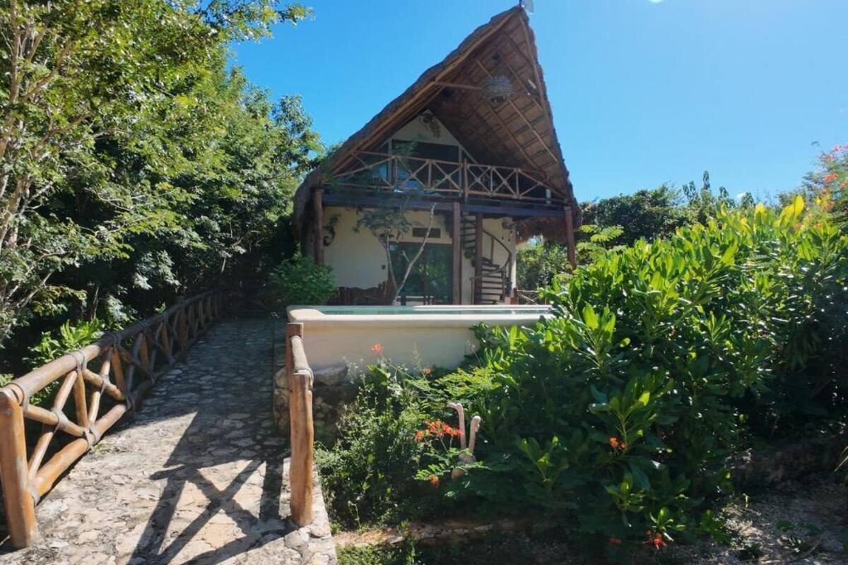 Un edificio rústico con techo de paja, un sendero de piedra que conduce a él, y abundante vegetación en los alrededores.