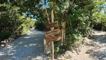 Hytte – deluxe, bassengutsikt | Safe på rommet, blendingsgardiner, lydisolert og strykejern/-brett