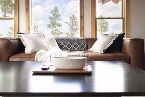 TV, ping pong, books