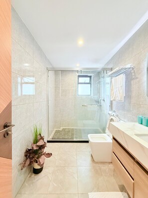 Hair dryer, towels, soap, toilet paper