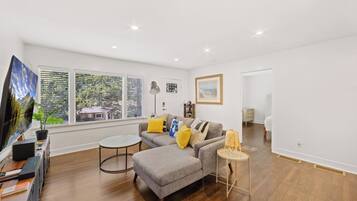 Smart TV, books, computer monitors