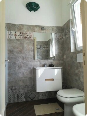 Shower, hair dryer, bidet, towels
