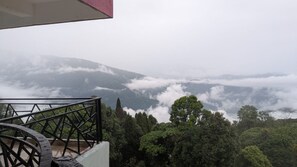 View from property - Rupsadeya Homestay Sittong (Kurseong)