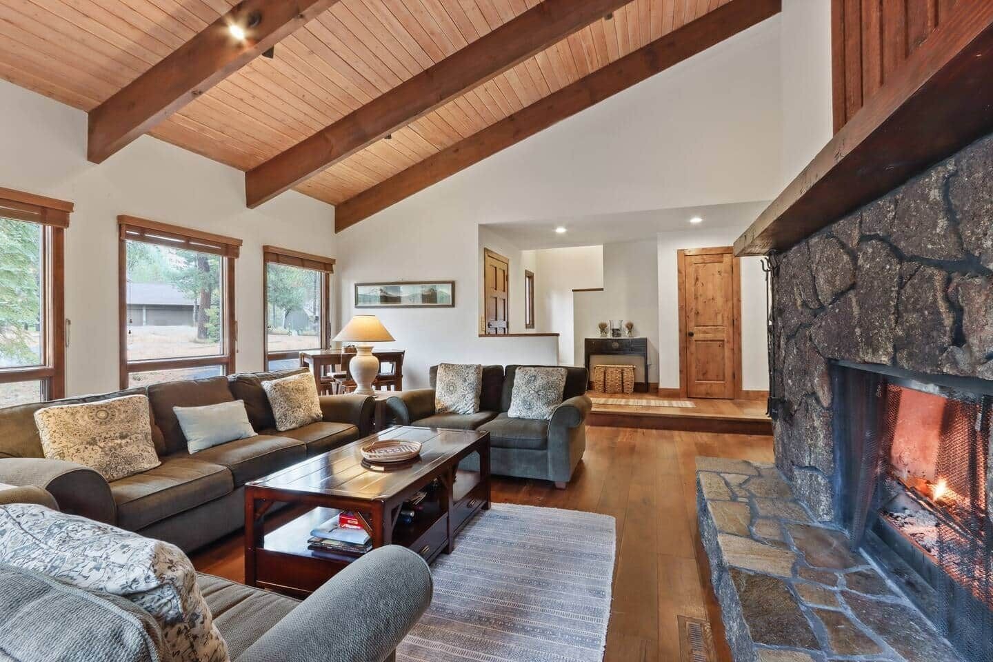 TV, fireplace, ping pong