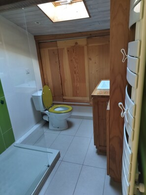 Hair dryer, soap, toilet paper
