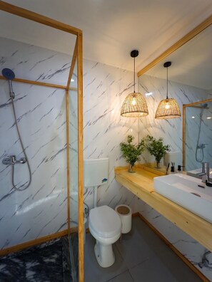 Shower, towels, shampoo, toilet paper