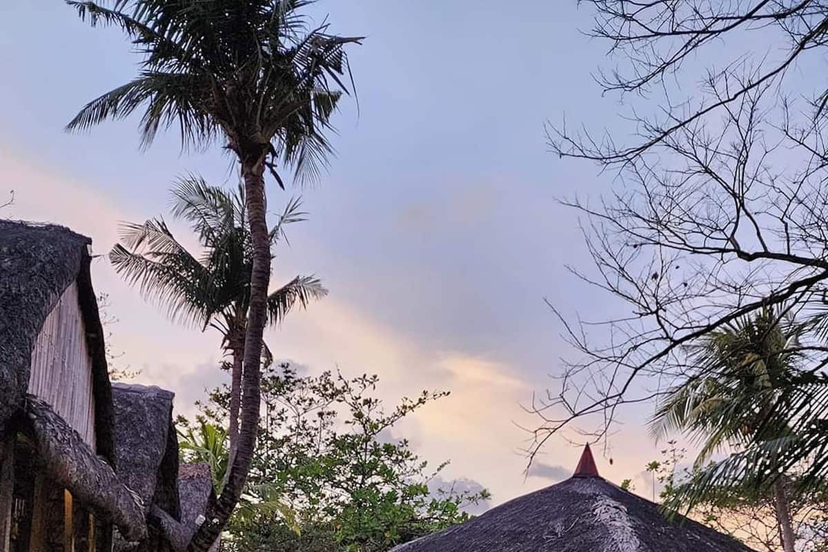 A thatched-roof structure with a wooden deck over water, surrounded by palm trees and greenery.