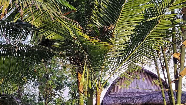 A wooden bridge leading to a traditional bamboo structure with a thatched roof. - Surfer's Villa La Union By Zuzu (San Juan)