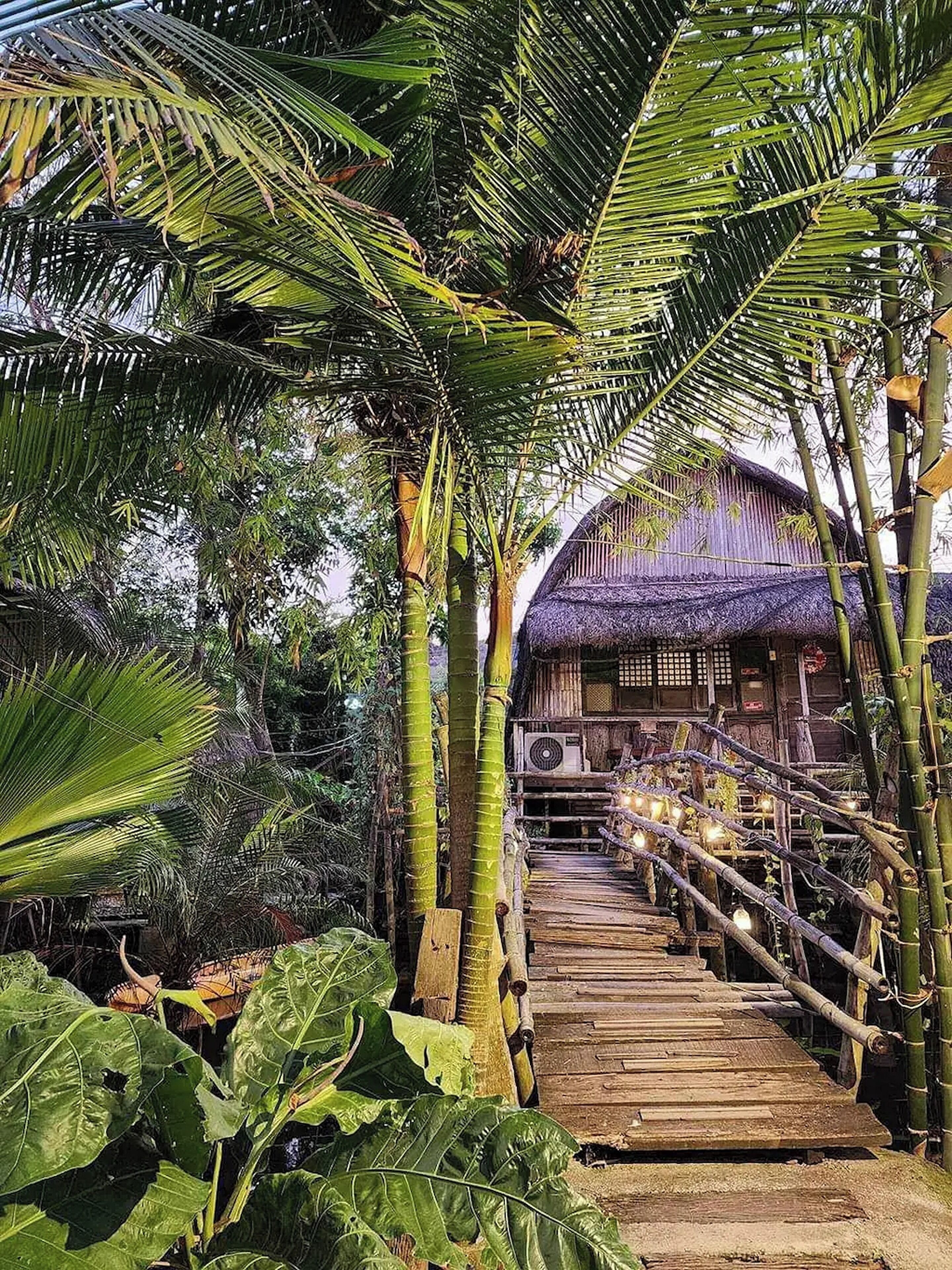 Uitzicht vanuit accommodatie