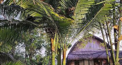 Surfer's Villa La Union By Zuzu