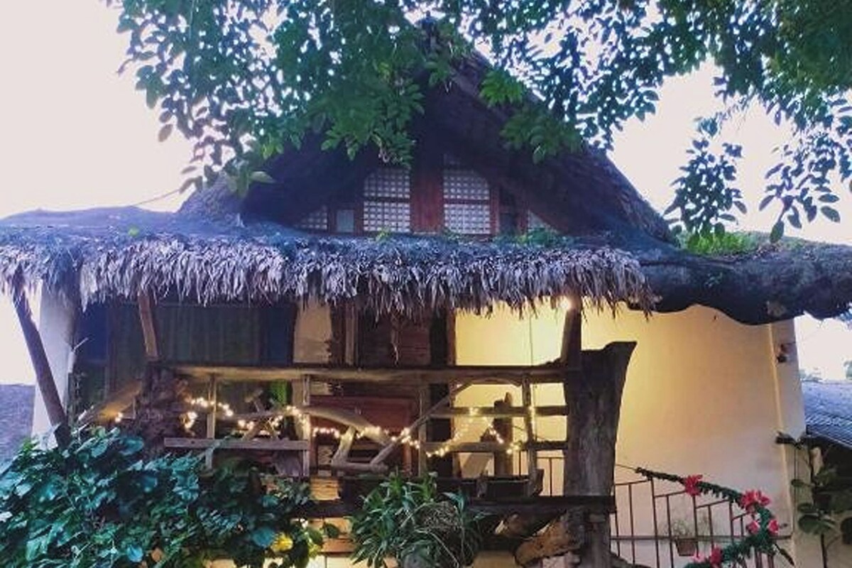 Una casa rústica con tejado de paja, una escalera de madera y un jardín con plantas en macetas.