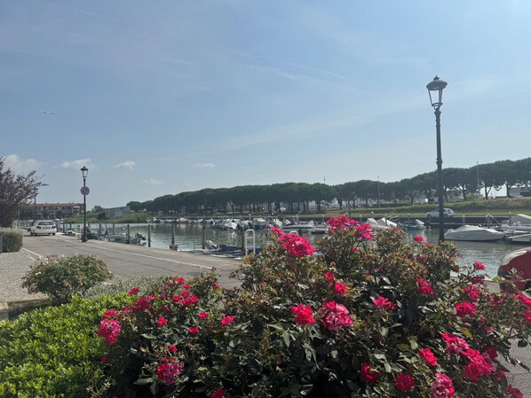 Marina