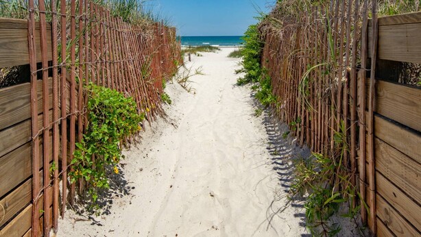 Een zandpad aan het strand, begrensd door houten omheiningen en begroeiing.