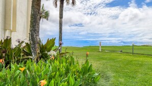 A grassy area with a building on the left and a clear sky. - Pier Point 17 (St. Augustine)