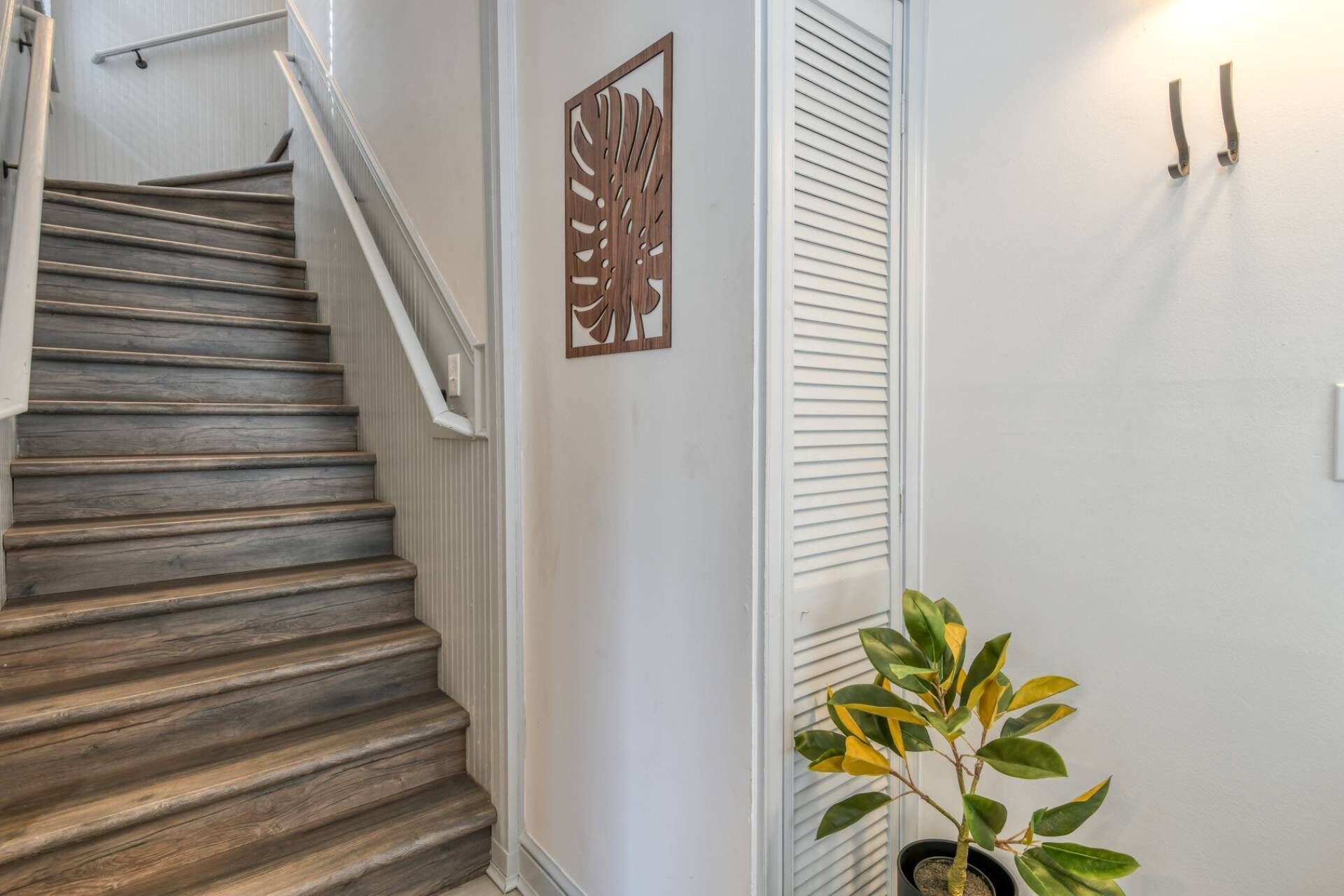 A wooden staircase with white walls and a potted plant.