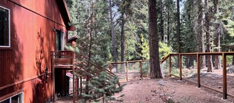 Truckee Mountain Retreat + Trails + Pet Friendly