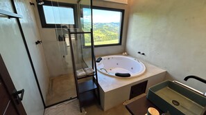 Shower, jetted tub, hair dryer, towels