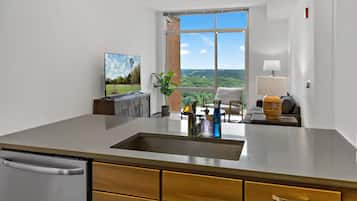 Luxury Apartment, 2 Bedrooms, Pets Allowed, City View | Living area