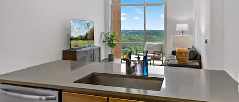 Luxury Apartment, 2 Bedrooms, Pets Allowed, City View | Living area