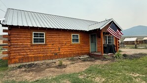 A log cabin with a metal roof, an American flag, and a dirt yard.