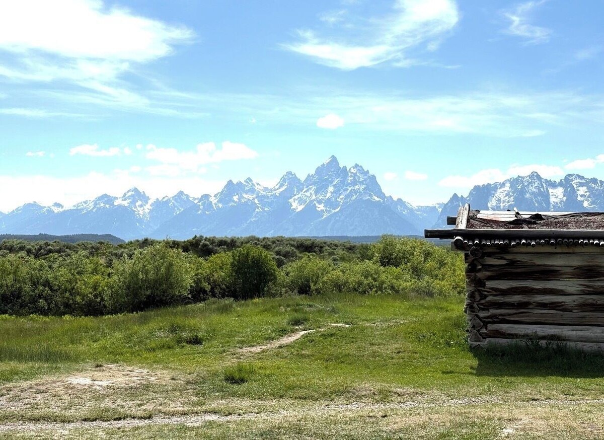 オーナーのプロフィール画像