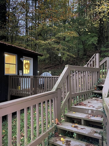 The Bear BnBee-Quaint Cottage Outside Charming Elkins!