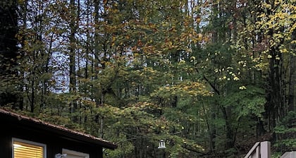 The Bear BnBee-Quaint Cottage Outside Charming Elkins!