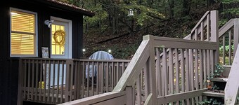 The Bear BnBee-Quaint Cottage Outside Charming Elkins!