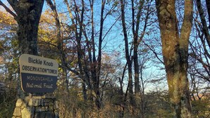 Señal de piedra para la Torre de Observación Bickle Knob en el Bosque Nacional Monongahela.