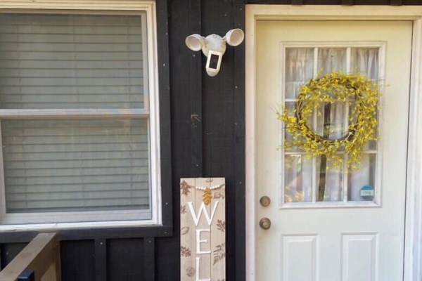 Welcome to The Bear BnBee! 🐻🐝