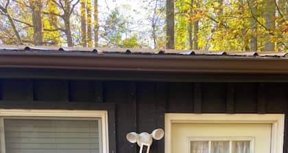 The Bear BnBee-Quaint Cottage in Charming Elkins