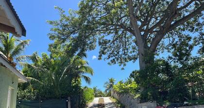 Stay in Guadeloupe : 5 minutes: beaches, downtown Le Moule by car